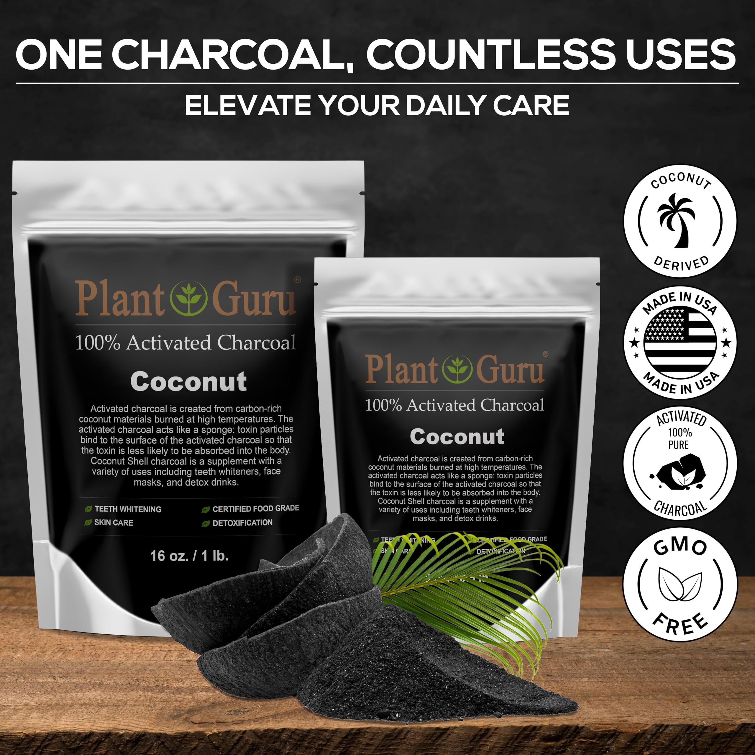 Plant Guru Charbon activé Poudre coco Masque visage détoxifiant purifiant les pores