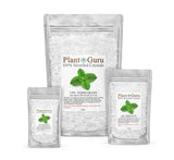 Plant Guru cristaux de menthol pour diffuseur à domicile et expérience rafraîchissante.