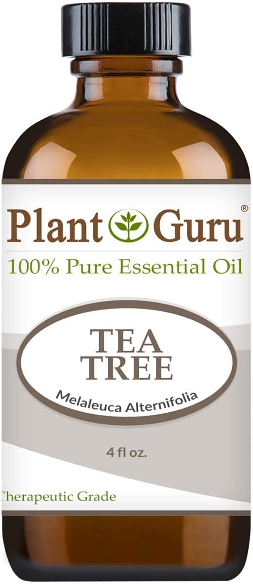Plant Guru huile essentielle arbre à thé — usage diffusion et aromathérapie possible pour ambiance apaisante.