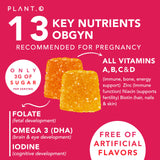 Acide folique inclus dans PLANT.O NUTRITION Prenatal, formulation complète.