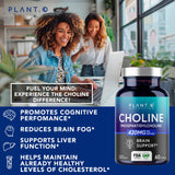 PLANT.O NUTRITION Choline Phosphatidylcholine – absorption améliorée, énergie mentale.