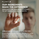 PLANT.O NUTRITION Choline Phosphatidylcholine – cerveau et mémoire potentiellement soutenus.