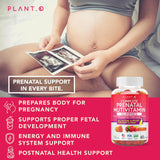 DHA oméga-3 présent dans les Gummies PLANT.O NUTRITION.