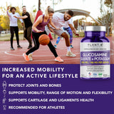 PLANT.O NUTRITION – Dosettes glucosamine sulfate potassium, dosage pratique dans la routine.
