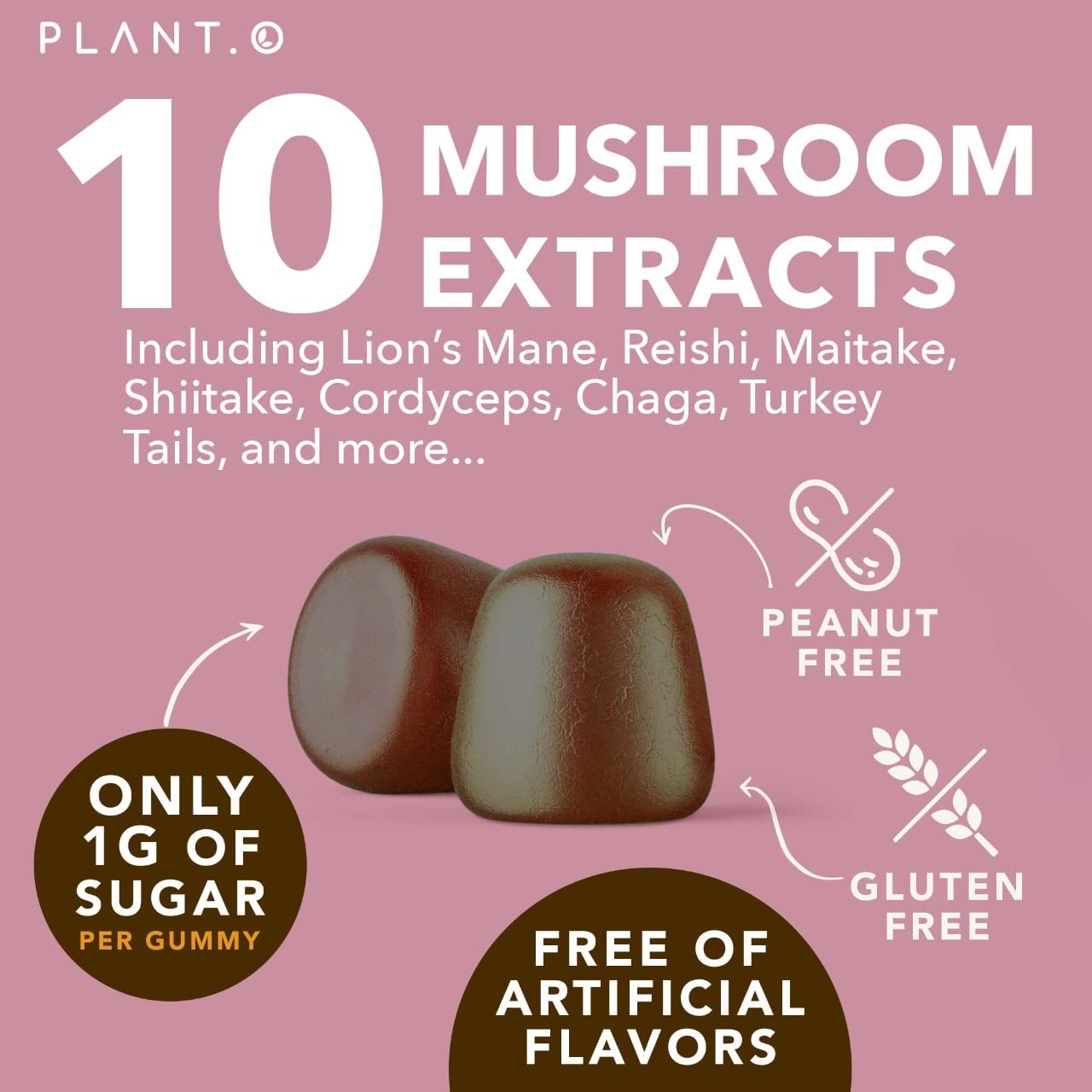 Marque Plant.O Nutrition gommes champignons maitake soutien immunitaire potentiel et énergie équilibrée