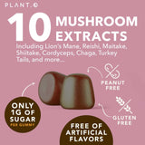Marque Plant.O Nutrition gommes champignons maitake soutien immunitaire potentiel et énergie équilibrée