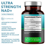 PLANT.O NUTRITION NAD+ dosage 500 mg par portion pour une routine simple.