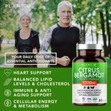 PLANT.O NUTRITION polyphénols bergamot à 70% concentrés et visibles