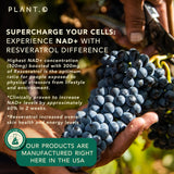 PLANT.O NUTRITION Resveratrol 300 mg intégré, antioxydants et potentiel de longévité.