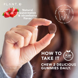 PLANT.O NUTRITION Gommes SuperGreens — flacon quotidien pratique pour dosage facile.