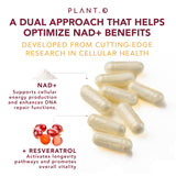 PLANT.O NUTRITION Synergie NAD+ et Resveratrol, approche complémentaire pour l’énergie.