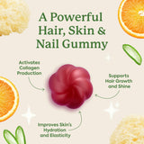 Gomme WonderBeauty au goût melon, dégustation rafraîchissante et sans sucre ajouté.