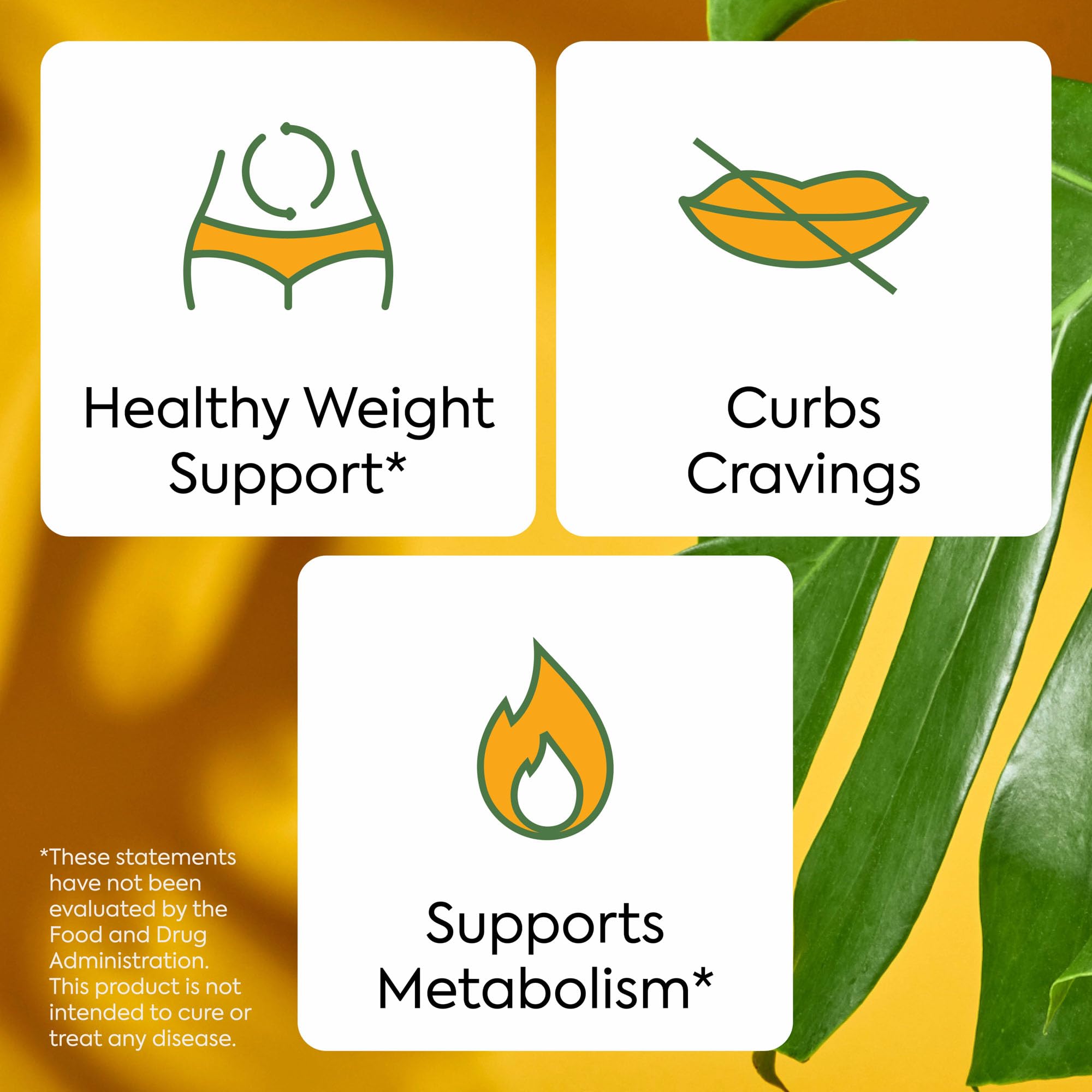 Gommes Plant People WonderBurn sans sucre ajouté, option pratique.