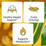 Gommes Plant People WonderBurn sans sucre ajouté, option pratique.