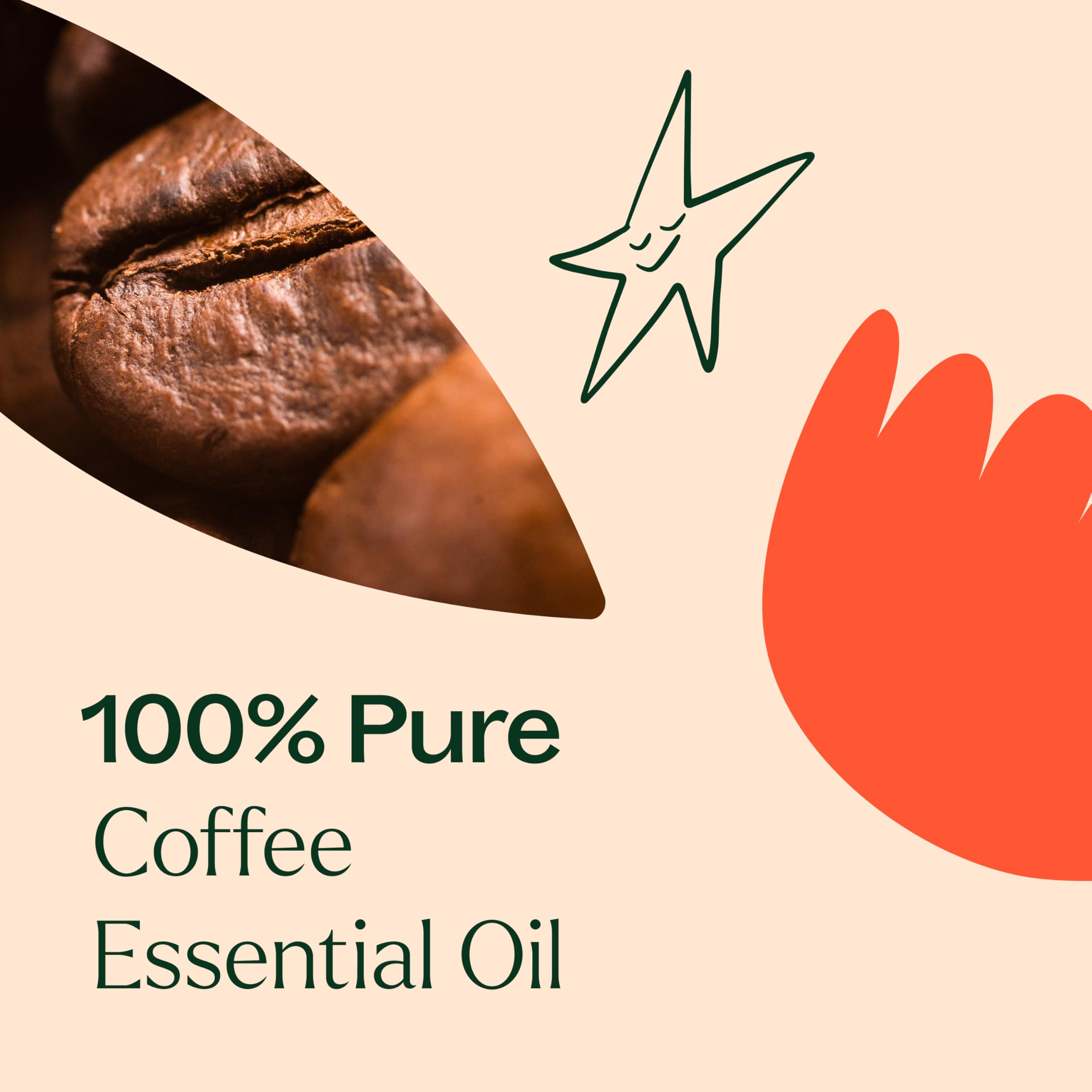 Analyses GC-MS pour Plant Therapy Café garantissant traçabilité.