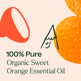 Plant Therapy aromathérapeutes certifiés répondent à vos questions.