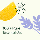 Plant Therapy Breathe Easy Arbre à Thé: huile polyvalente pour peau et diffusion.