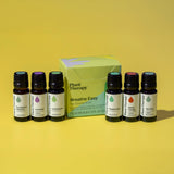 Plant Therapy Breathe Easy Diffusion Ambiance: diffuser les huiles pour une ambiance rafraîchissante.