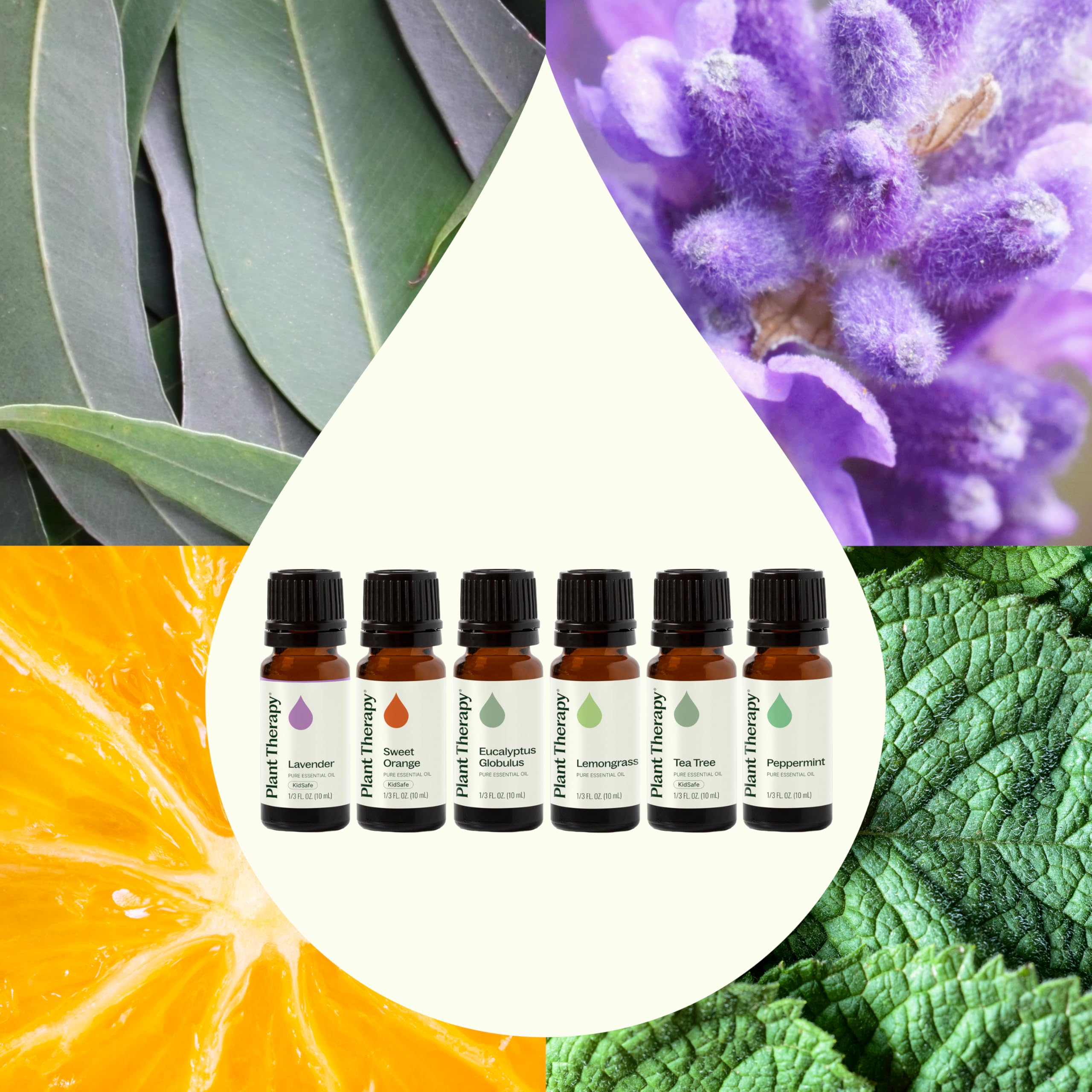 Plant Therapy Breathe Easy Menthe Poivrée: fraîcheur mentholée pour concentration légère.