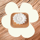 Capot en plâtre design du diffuseur Plant Therapy ajoute une finition moderne.