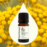 Diffuseur Plant Therapy avec huile immortelle italicum, crée une ambiance apaisante.