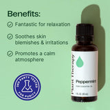 Diffusion menthe poivrée Plant Therapy pour concentration et fraîcheur.