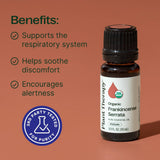Encens Serrata Plant Therapy en diffusion, parfum boisÉ et apaisant