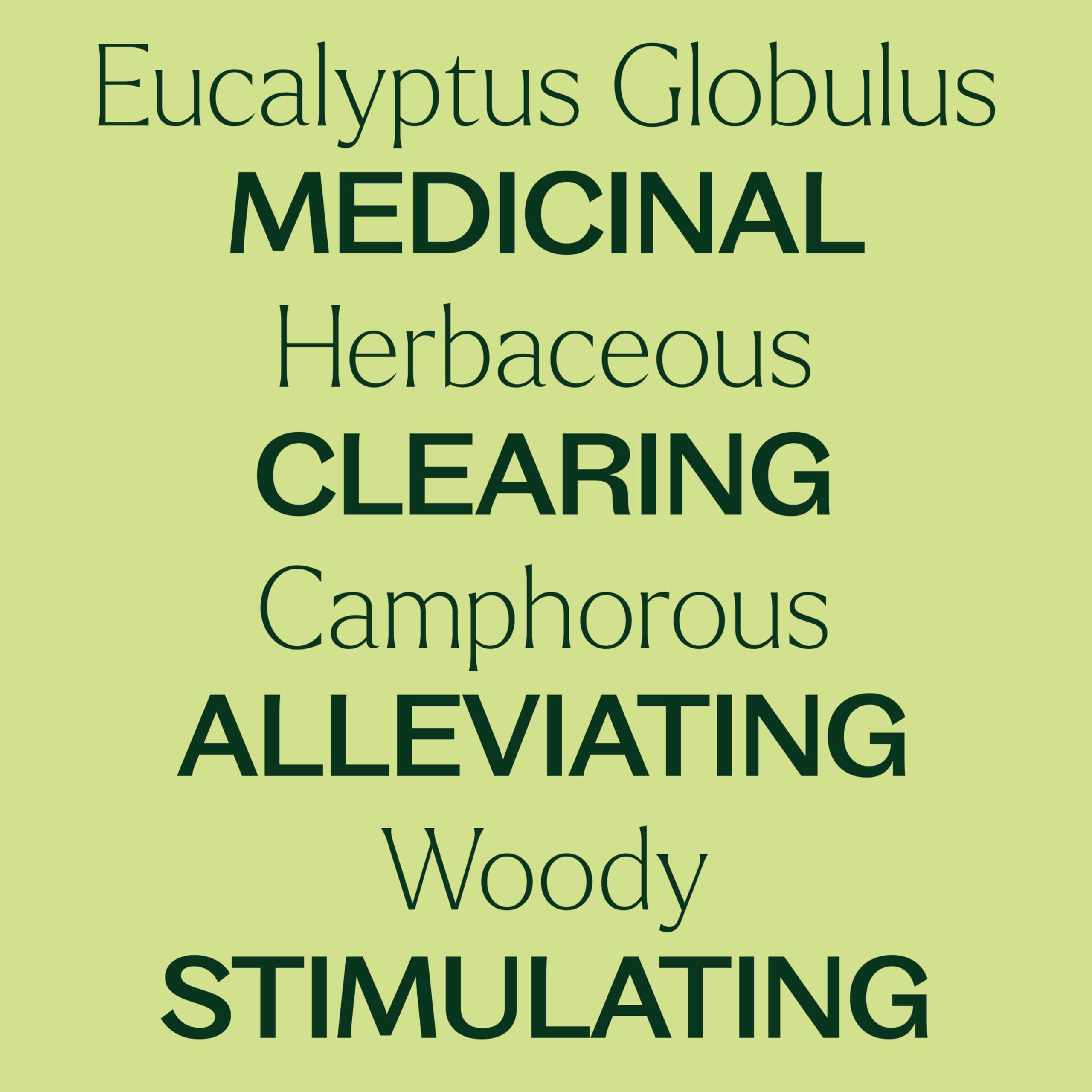 Plant Therapy Eucalyptus Globulus – emballage soigné, prêt à offrir ou à stocker.