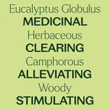 Plant Therapy Eucalyptus Globulus – emballage soigné, prêt à offrir ou à stocker.