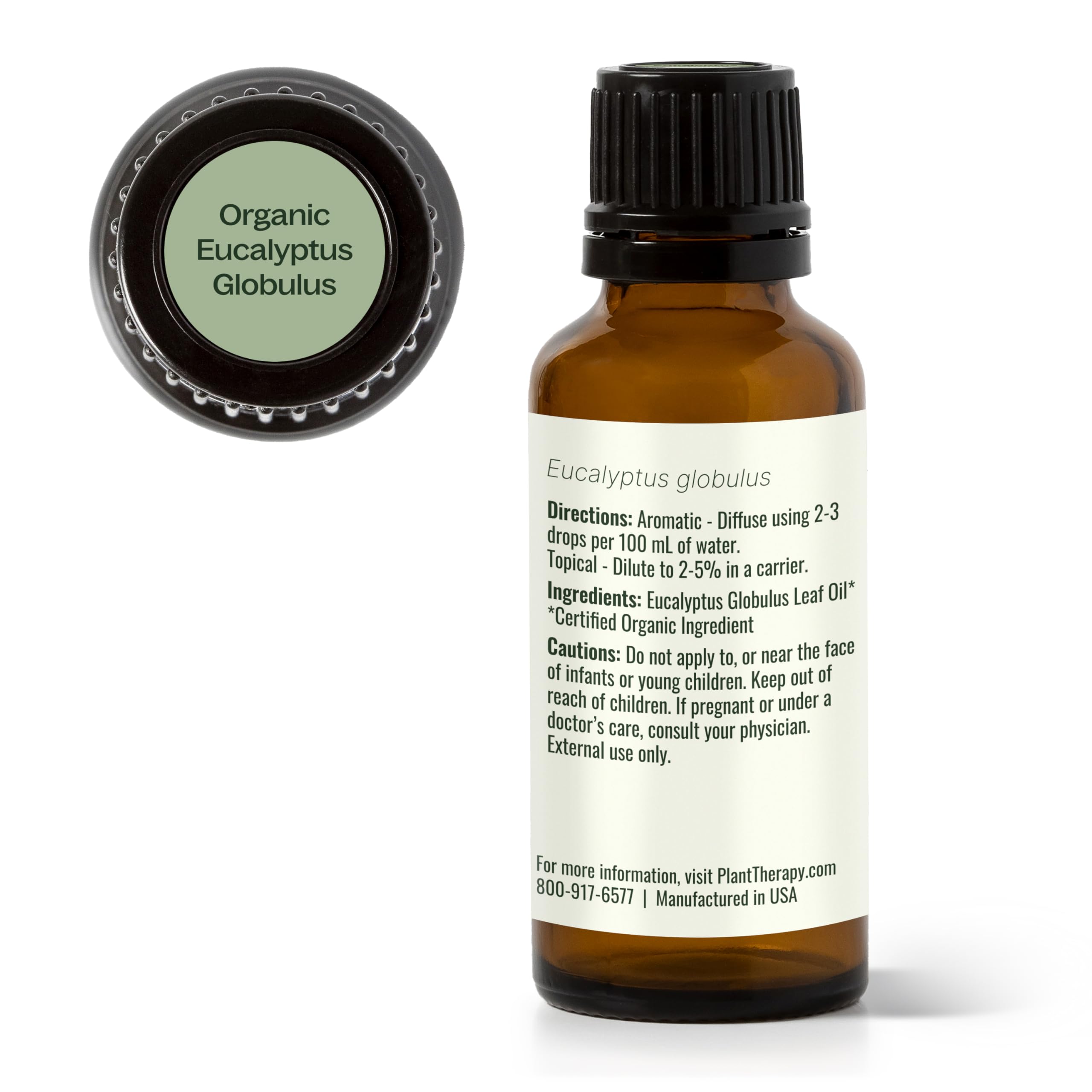 Plant Therapy Eucalyptus Globulus – diffusion lors travail ou étude pour concentration et clarté.