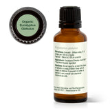 Plant Therapy Eucalyptus Globulus – diffusion lors travail ou étude pour concentration et clarté.
