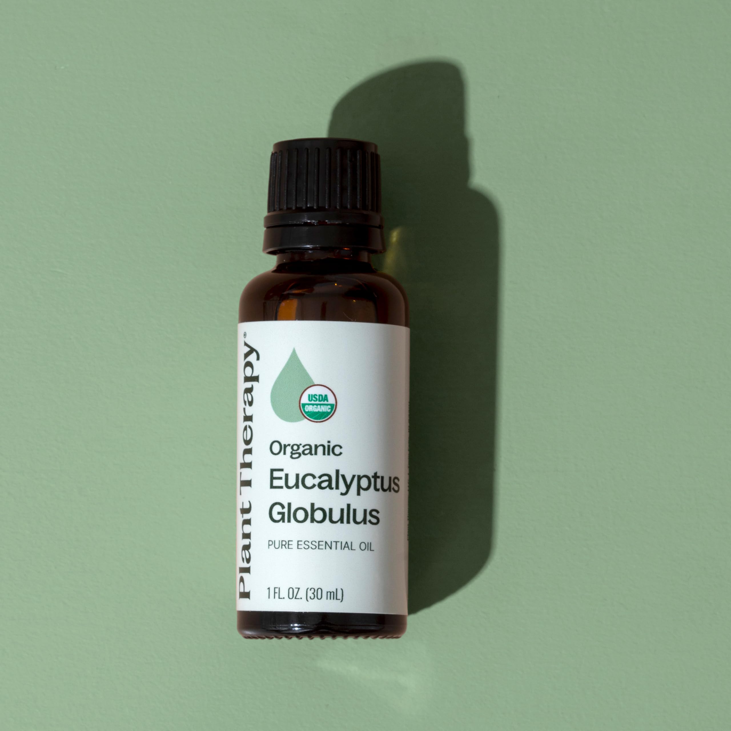 Plant Therapy Eucalyptus Globulus – dilution recommandée pour massage musculaire après l'effort.