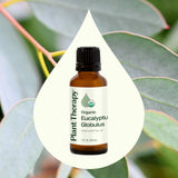 Plant Therapy Eucalyptus Globulus – goutte-pipette facilitant une application précise et pratique.