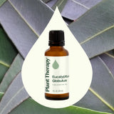 Inhalation avec Eucalyptus Globulus Plant Therapy, sensation de respiration claire.