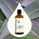 Usage topique dilué Plant Therapy Eucalyptus Globulus pour confort cutané