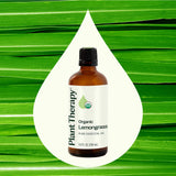 Plant Therapy gouttes huile citronnelle — démonstration d'application diluée pour massage.