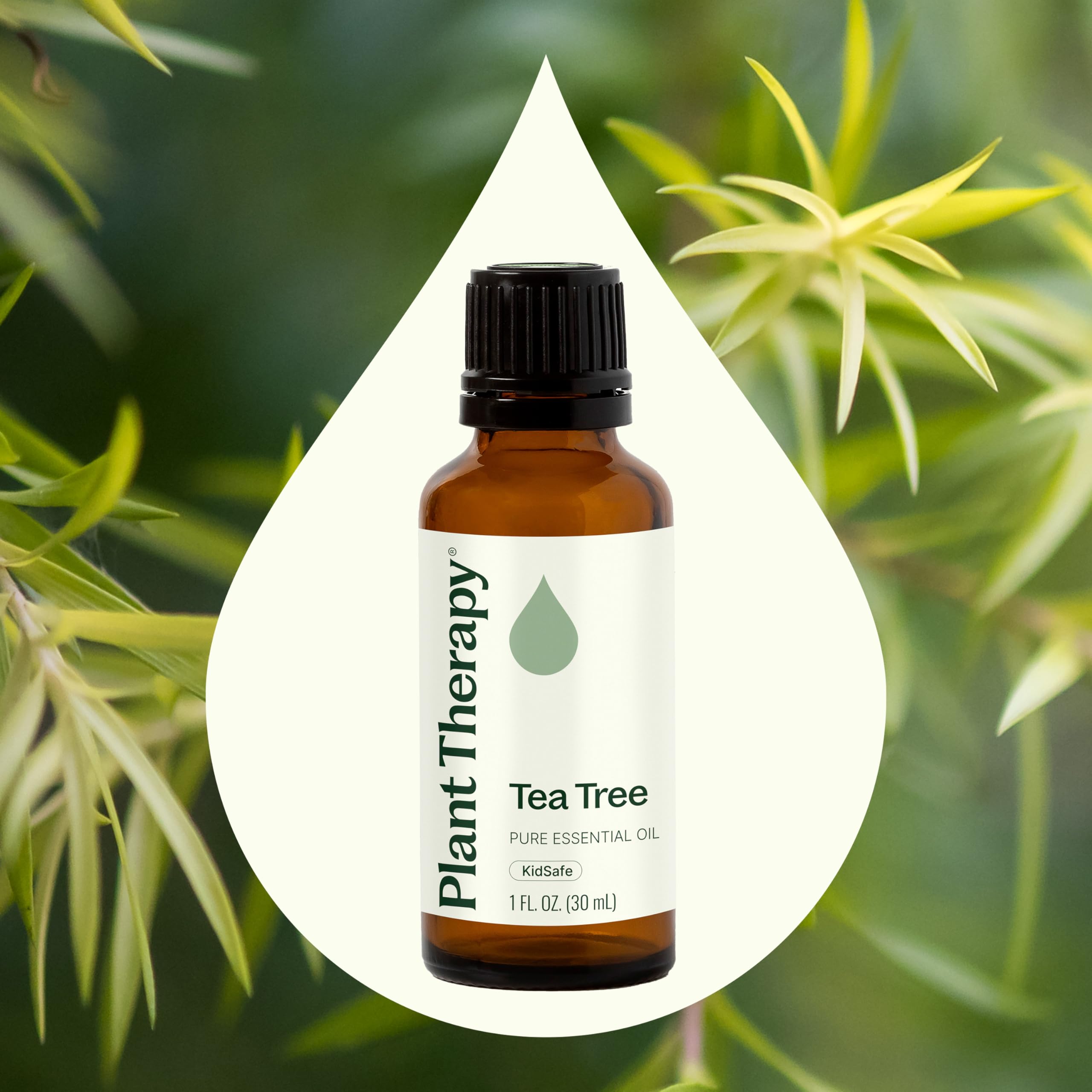 Plant Therapy huile arbre à thé gouttes—application ciblée et diluée en soin