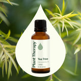 Plant Therapy huile arbre à thé gouttes—application ciblée et diluée en soin