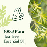 Plant Therapy huile arbre à thé spray—purifie l’air et l’intérieur