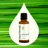 Diffuseur avec huile citronnelle Plant Therapy pour rafraîchir l’air et créer une ambiance zen.
