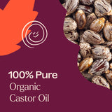 Plant Therapy huile de castor – pack détox doux.