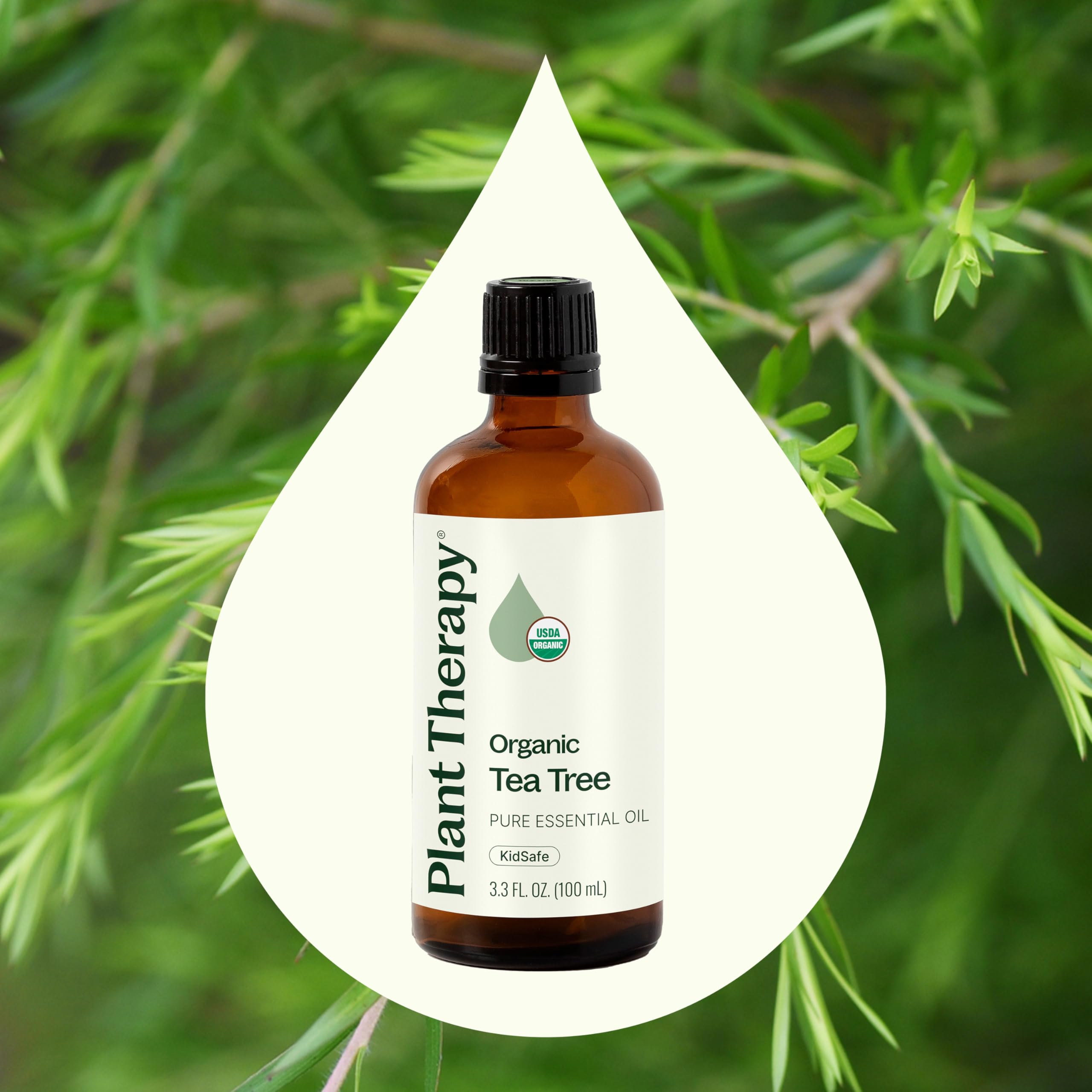Diffuseur avec huile arbre à thé Plant Therapy pour une aromathérapie naturelle.