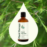 Diffuseur avec huile arbre à thé Plant Therapy pour une aromathérapie naturelle.