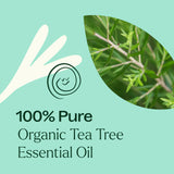 Soin du cuir chevelu avec arbre à thé Plant Therapy pour pellicules.