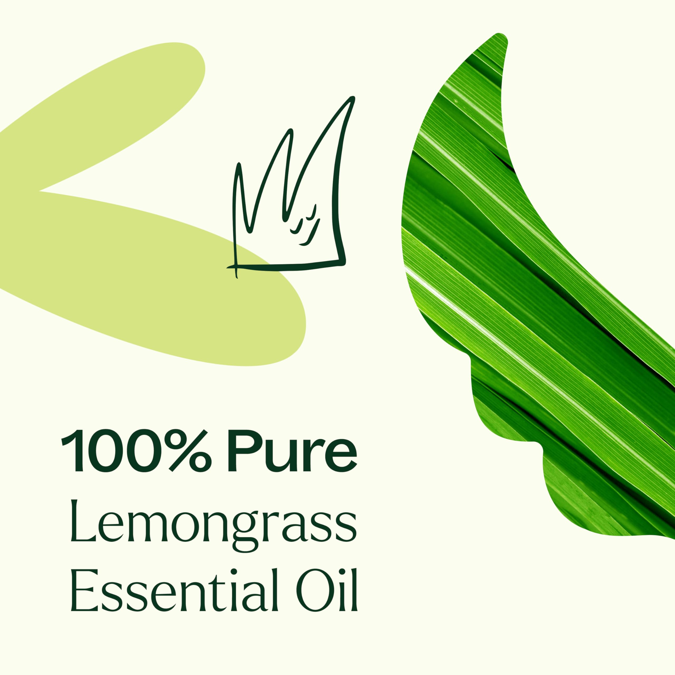 Huile citronnelle Plant Therapy diluée prête pour massage et détente musculaire.