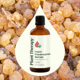Plant Therapy Encens Serrata – étiquette biologique et certification.
