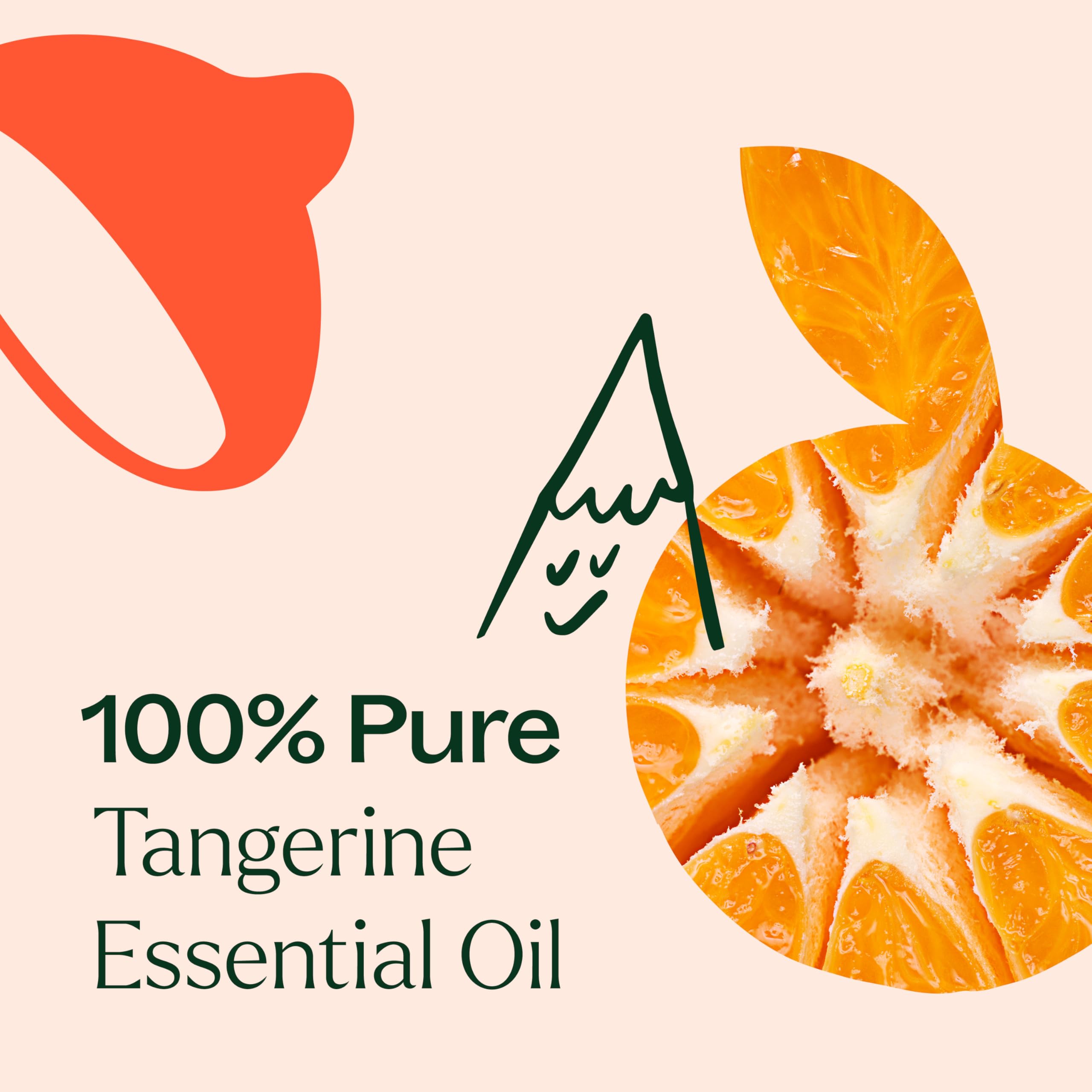 Rapport GC-MS Plant Therapy mandarine – traçabilité et vérifications indépendantes.