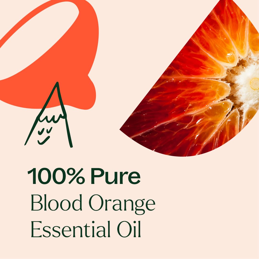Odeur zestée de Plant Therapy orange sanguine, énergie et clarté potentielles.