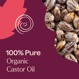 Application cheveux avec huile de ricin Plant Therapy pour hydratation et brillance
