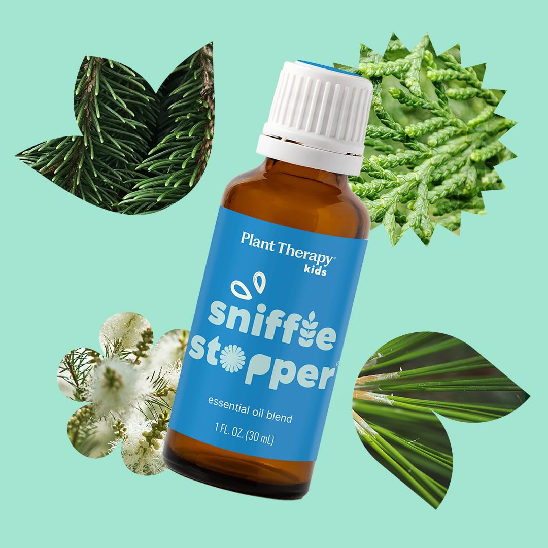 Diffusion d'aromathérapie pour une ambiance apaisante.